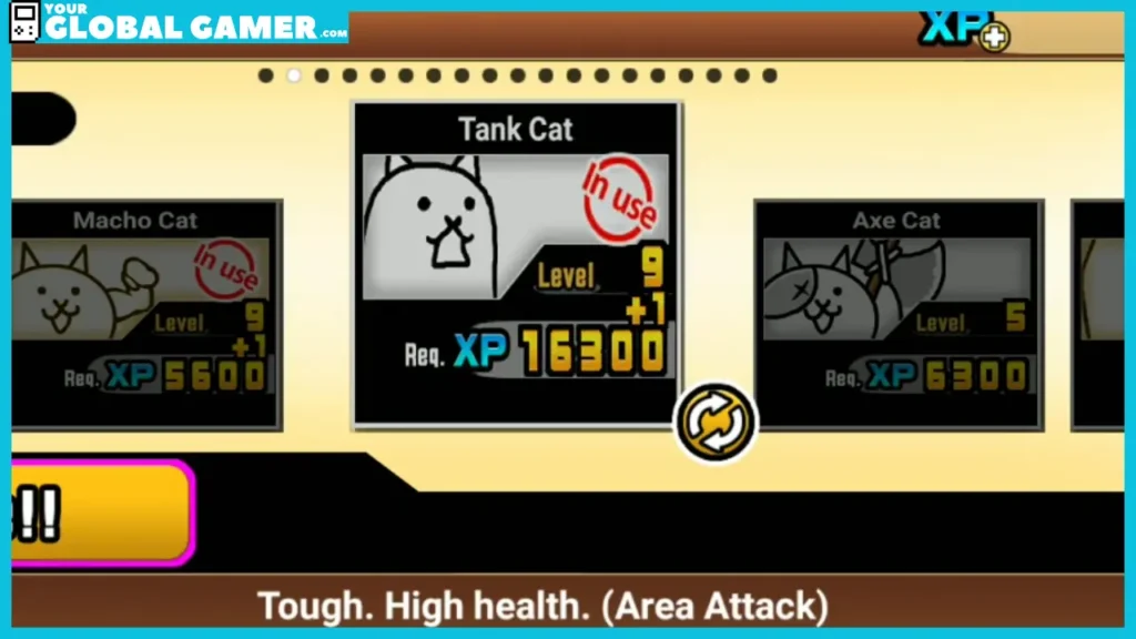 Tank Cat